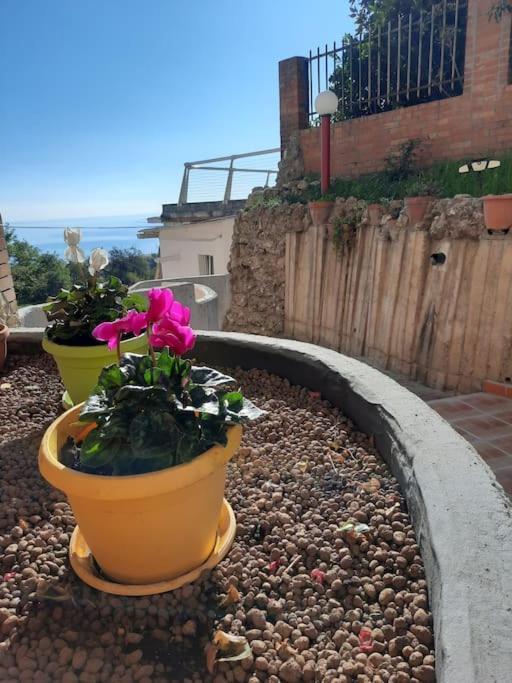 Torre Del Meridiano Casa Vacanze Centrale テルモリ エクステリア 写真